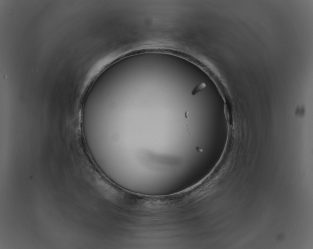 X0000091171366200708231455