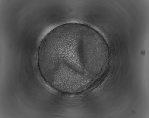X0000091171367200708231455