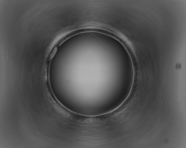 X0000091171368200708231455