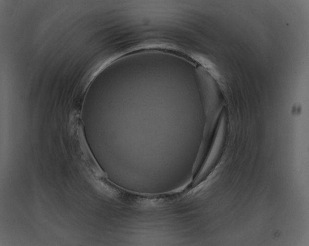 X0000091171369200708231455