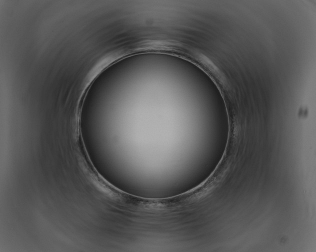 X0000091171370200708231455