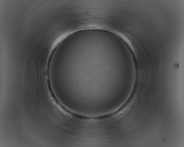 X0000091171373200708231455