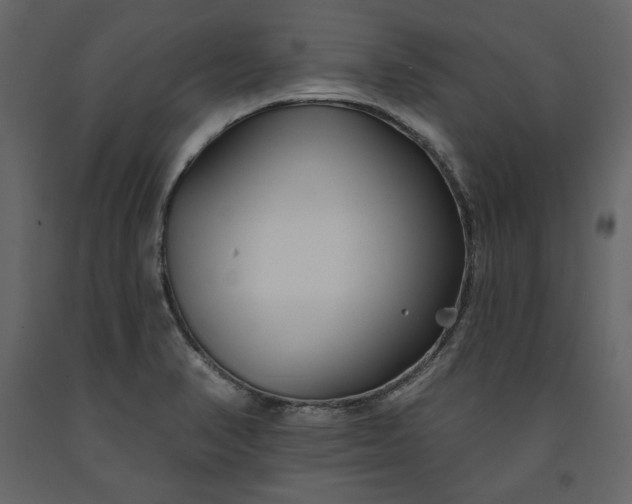 X0000091171374200708231455