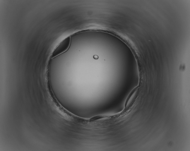 X0000091171375200708231455