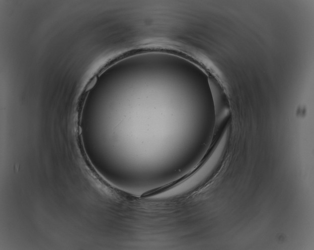 X0000091171376200708231455