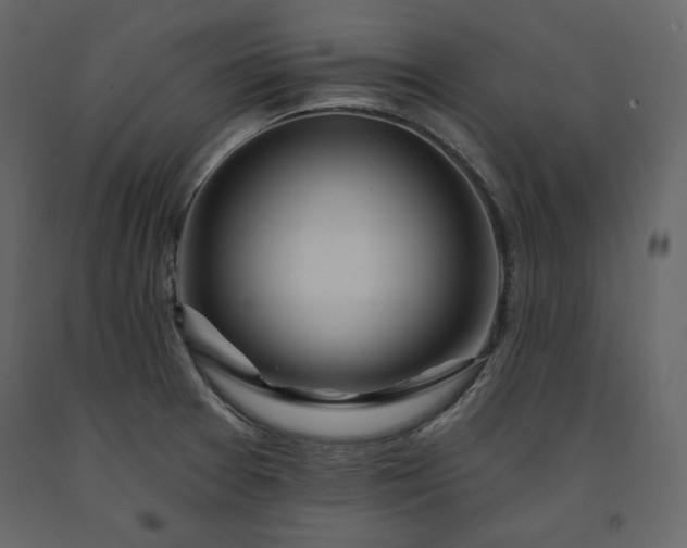 X0000091171377200708231455