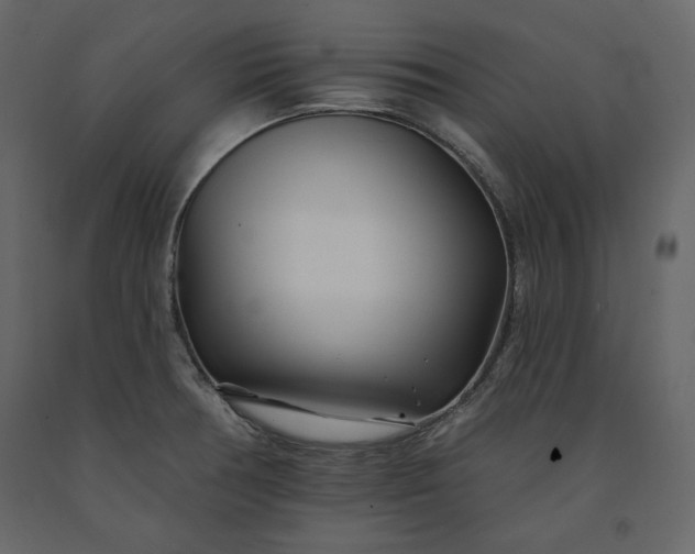 X0000091171378200708231455