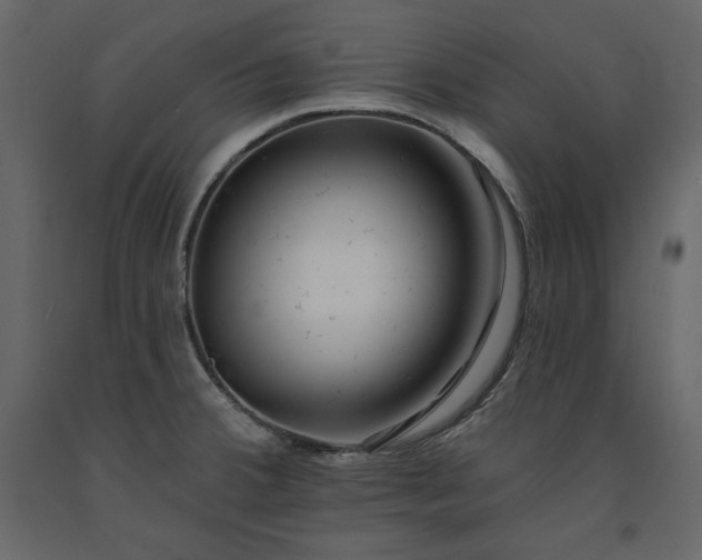 X0000091171380200708231455