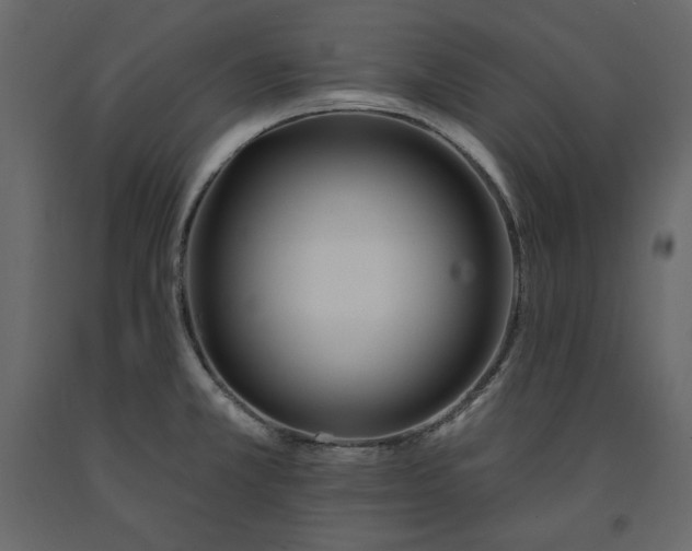 X0000091171381200708231455