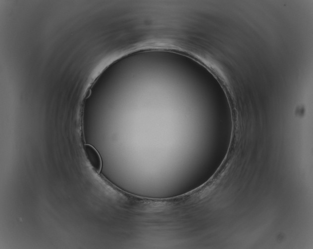 X0000091171382200708231455