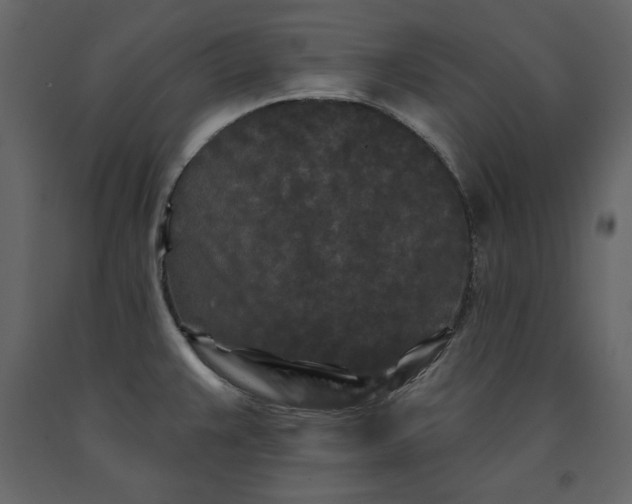 X0000091171383200708231455