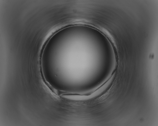 X0000091171384200708231455