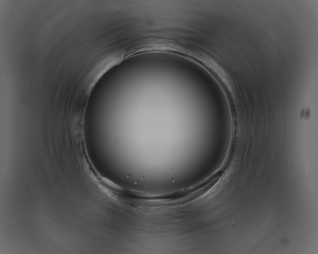 X0000091171385200708231455