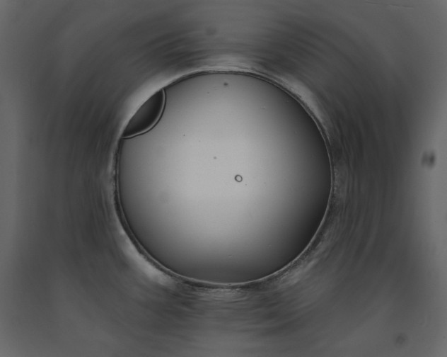 X0000091171387200708231455