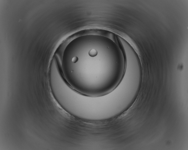 X0000091171388200708231455