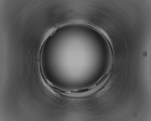 X0000091171389200708231455