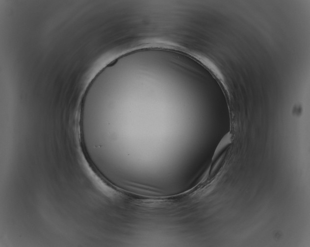 X0000091171391200708231455