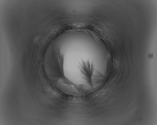 X0000091171393200708231454