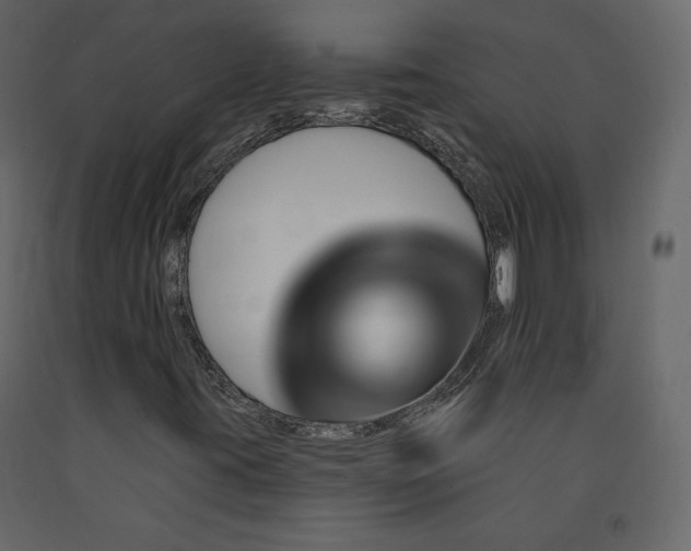 X0000091171395200708231454