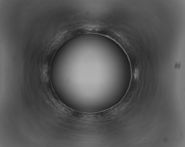 X0000091171396200708231454