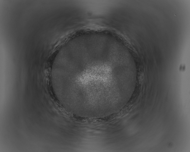 X0000091171397200708231454