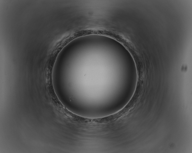 X0000091171398200708231454