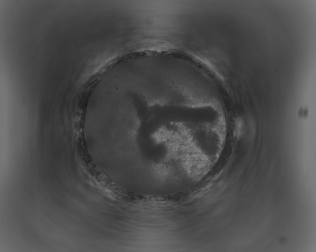 X0000091171399200708231454