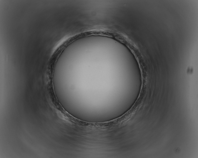 X0000091171400200708231454