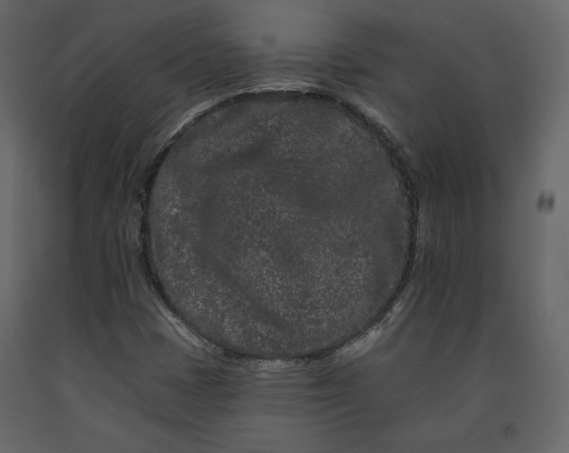 X0000091171401200708231454