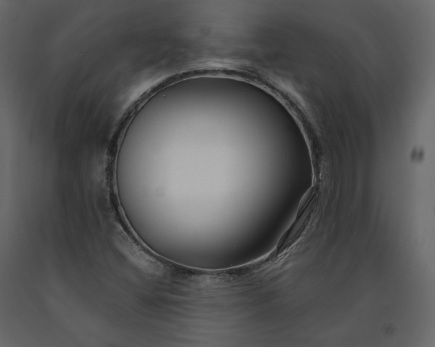 X0000091171404200708231454