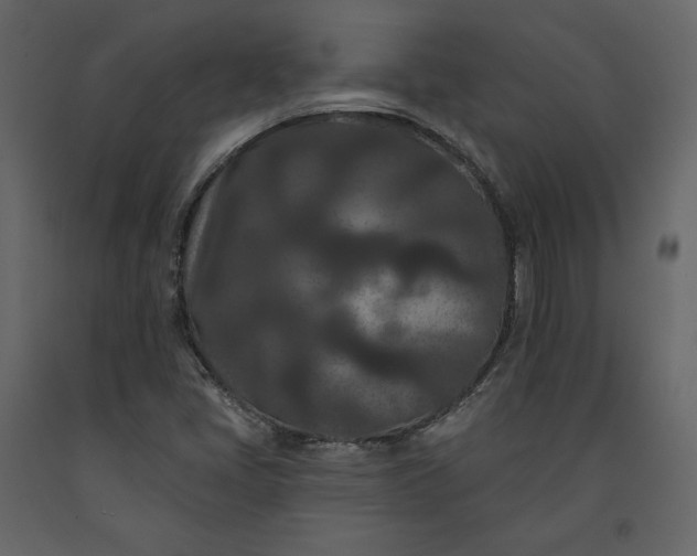 X0000091171405200708231454