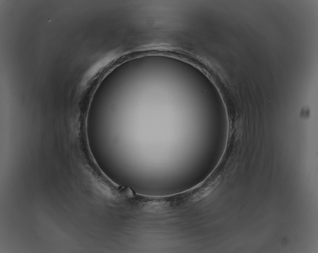 X0000091171406200708231454