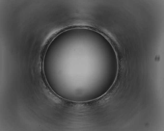 X0000091171408200708231454