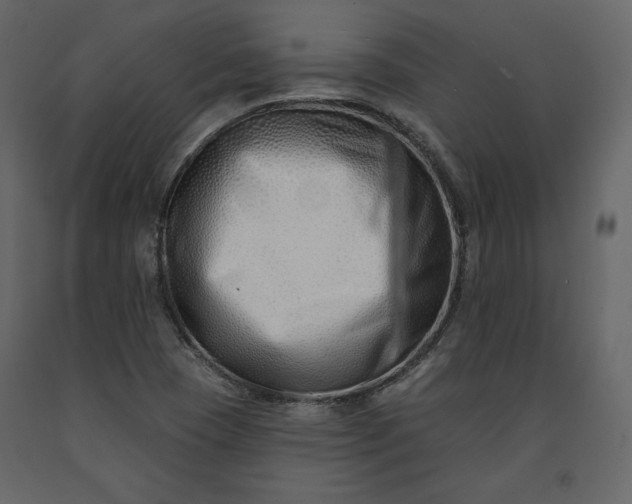 X0000091171409200708231454