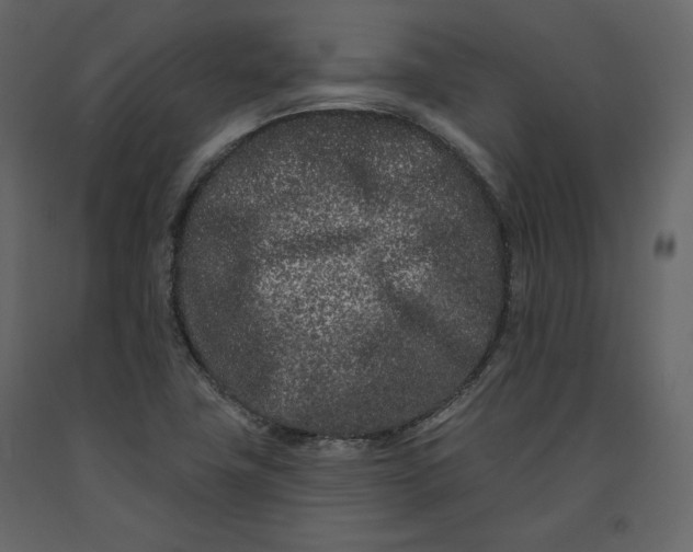 X0000091171411200708231454