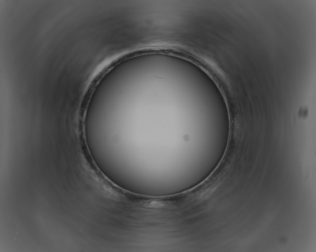 X0000091171412200708231454