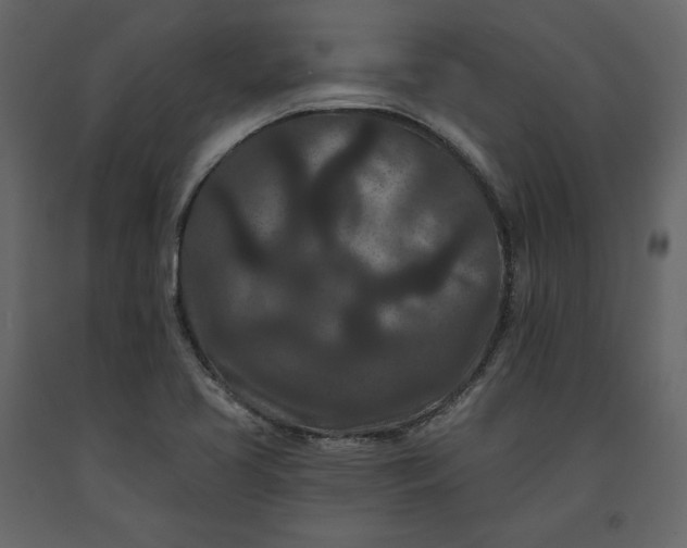 X0000091171413200708231454