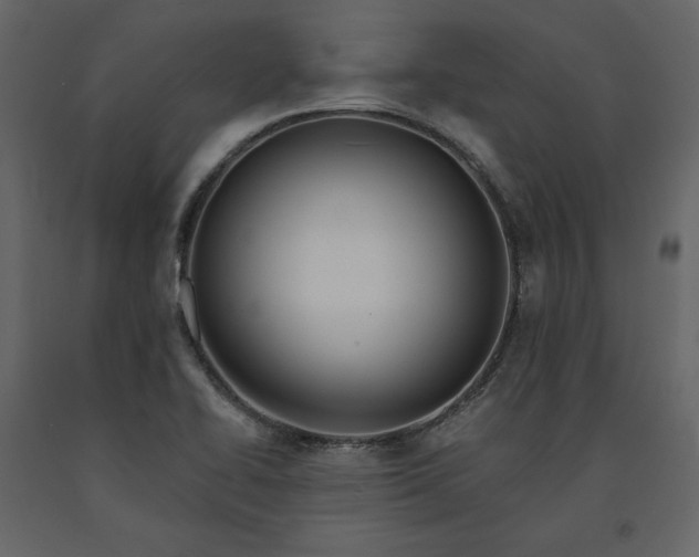 X0000091171414200708231454