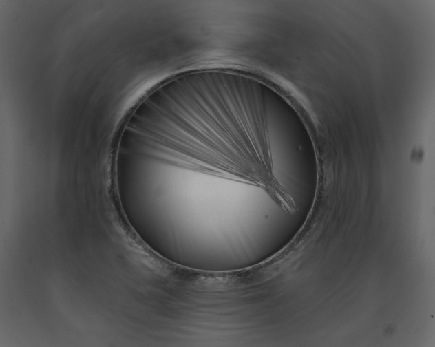 X0000091171415200708231454