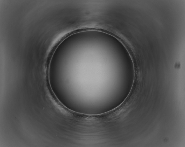 X0000091171416200708231455