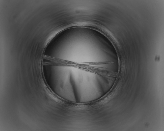 X0000091171417200708231455