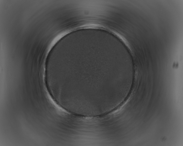 X0000091171418200708231455