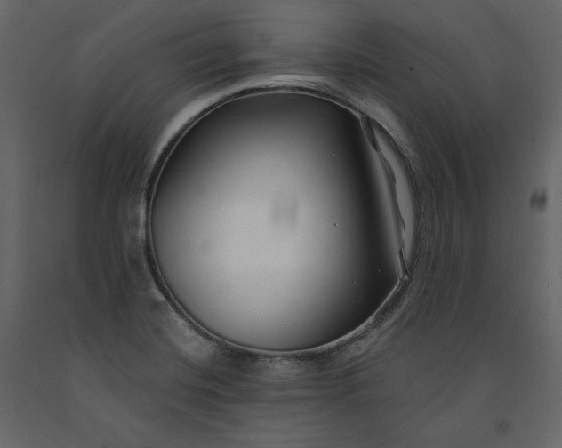 X0000091171420200708231455