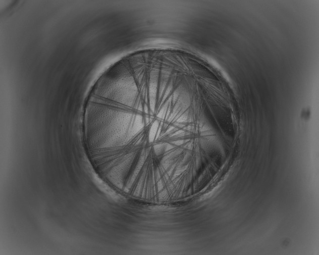 X0000091171421200708231455