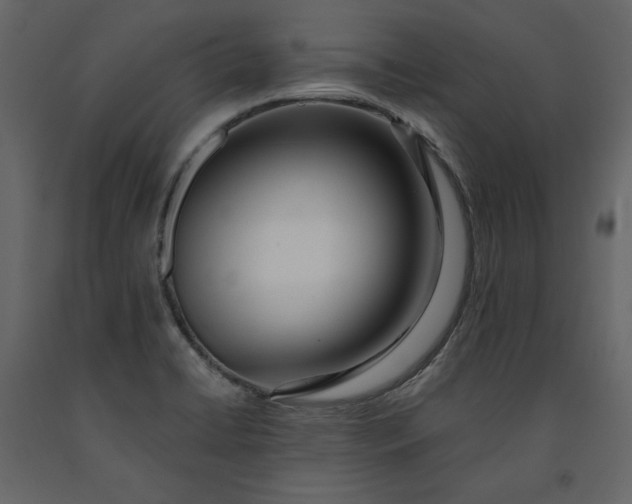 X0000091171422200708231455