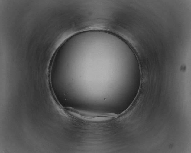 X0000091171423200708231455