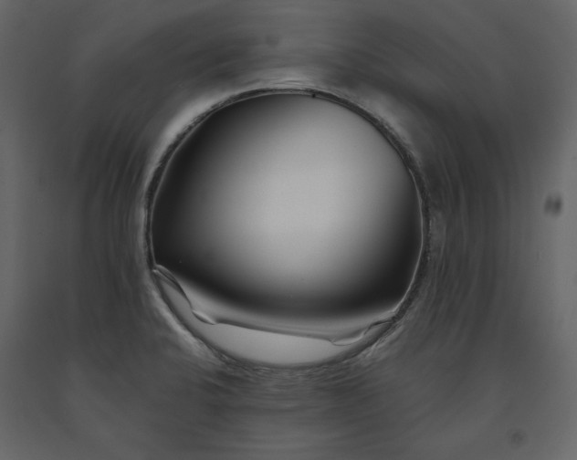 X0000091171424200708231455