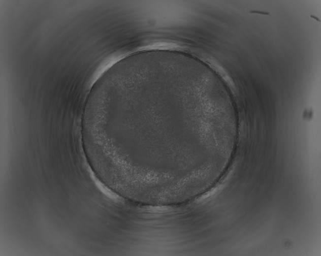 X0000091171425200708231455