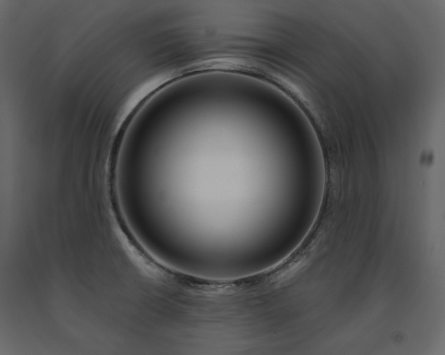 X0000091171426200708231455