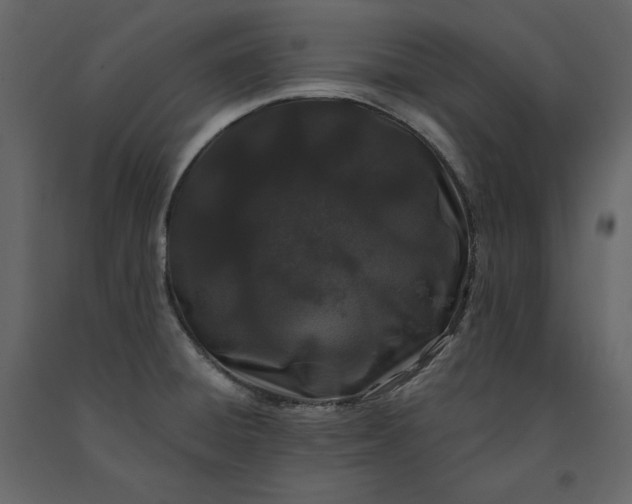 X0000091171428200708231455